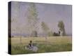 Stretched Canvas Print