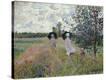 Stretched Canvas Print