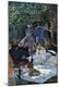 Premium Giclee Print