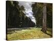 Stretched Canvas Print