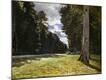 Giclee Print