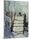 Premium Giclee Print