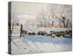 Stretched Canvas Print