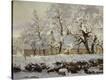 Stretched Canvas Print