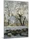 Premium Giclee Print