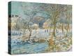 Stretched Canvas Print
