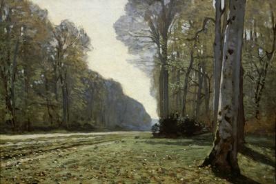 クロード・モネ、Road in the Forest of Fontainebl The Road to Chailly (The Forest of Fontainebleau), C. 1865