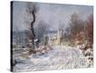 Stretched Canvas Print