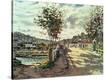 Stretched Canvas Print