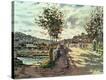 Stretched Canvas Print
