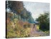Stretched Canvas Print
