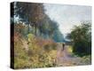 Stretched Canvas Print
