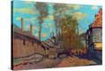 Stretched Canvas Print