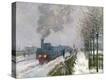 Stretched Canvas Print