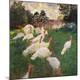 Premium Giclee Print