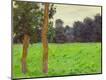 Giclee Print