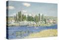 Stretched Canvas Print