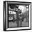 Claude Nougaro in Paris-DR-Framed Photographic Print