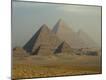 Photographic Print