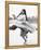 Claudia Cardinale-null-Framed Stretched Canvas