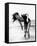 Claudia Cardinale-null-Framed Stretched Canvas