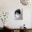 Claudia Cardinale-null-Photographic Print displayed on a wall