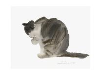 Cat, 1985-Claudia Hutchins-Puechavy-Giclee Print