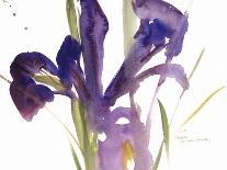 Irises, 1999-Claudia Hutchins-Puechavy-Giclee Print