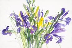 Irises, 1999-Claudia Hutchins-Puechavy-Giclee Print