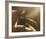 Claudia-Antonio Sgarbossa-Framed Art Print