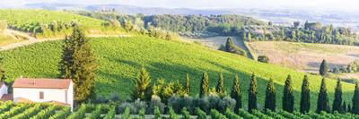 Chianti, Tuscany-Claudiogiovanni-Framed Photographic Print