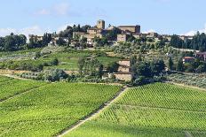 Summer Landscape in Langhe (Italy)-Claudiogiovanni-Framed Photographic Print