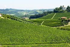 Summer Landscape in Langhe (Italy)-Claudiogiovanni-Photographic Print