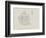 Clavellina (Perophora) Listeri: Tuincate-Philip Henry Gosse-Framed Giclee Print