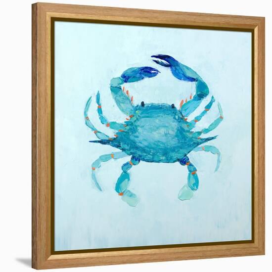 Claw Buddies II-Ann Marie Coolick-Framed Stretched Canvas