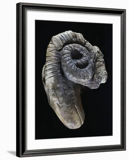 Clay Andiron Shaped Like Ram's Head, 3rd Century BC-null-Framed Giclee Print