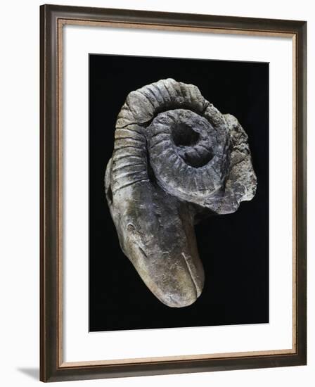 Clay Andiron Shaped Like Ram's Head, 3rd Century BC-null-Framed Giclee Print