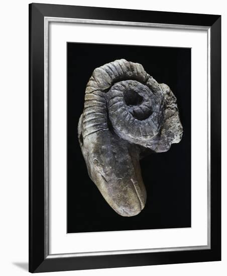 Clay Andiron Shaped Like Ram's Head, 3rd Century BC-null-Framed Giclee Print