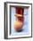 Clay Jug-null-Framed Photographic Print