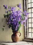 Canterbury Bells-Clay Perry-Photographic Print