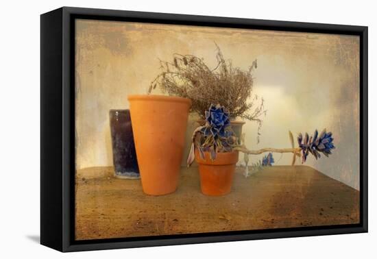 Clay Pots B-Karen Williams-Framed Premier Image Canvas