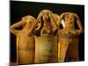 Clay Statuettes of Mourner, Bahariya Museum, Bahariya Oasis, Valley of the Golden Mummies, Egypt-Kenneth Garrett-Mounted Photographic Print