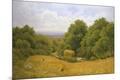 Giclee Print