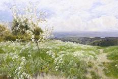 Spring Blossom-Clayton Adams-Mounted Giclee Print