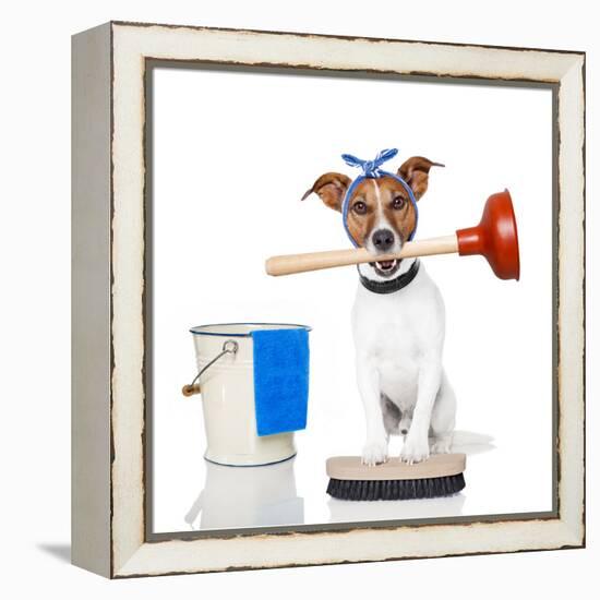 Cleaning Dog-Javier Brosch-Framed Premier Image Canvas