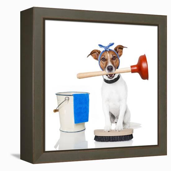 Cleaning Dog-Javier Brosch-Framed Premier Image Canvas