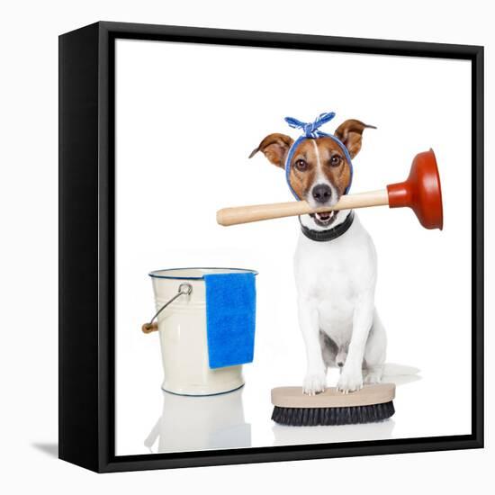 Cleaning Dog-Javier Brosch-Framed Premier Image Canvas