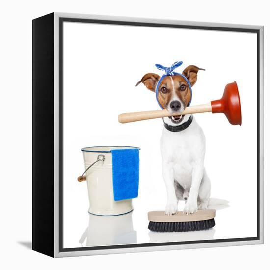 Cleaning Dog-Javier Brosch-Framed Premier Image Canvas