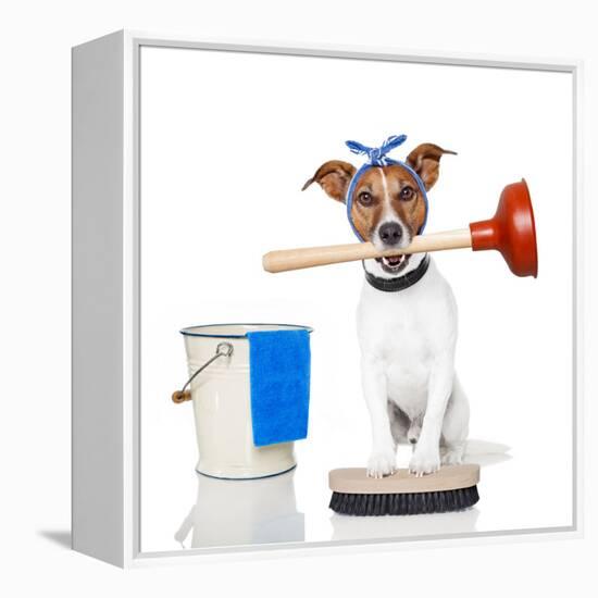 Cleaning Dog-Javier Brosch-Framed Premier Image Canvas