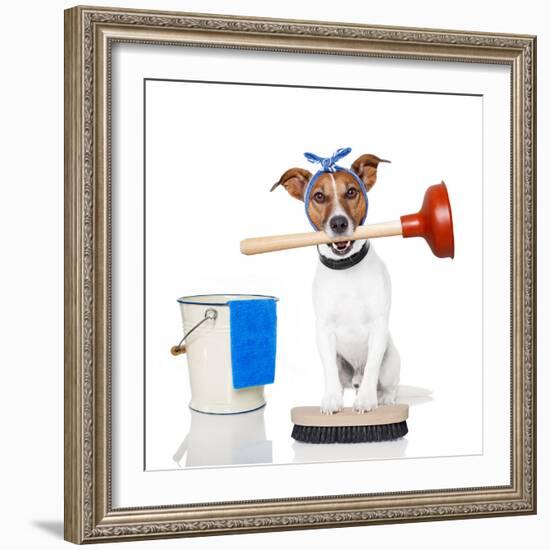 Cleaning Dog-Javier Brosch-Framed Photographic Print